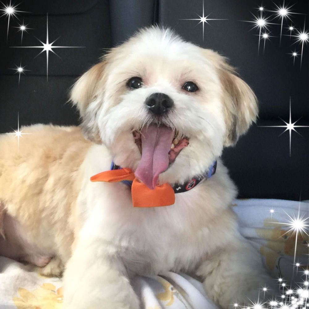 Meet your Posher, Clelia